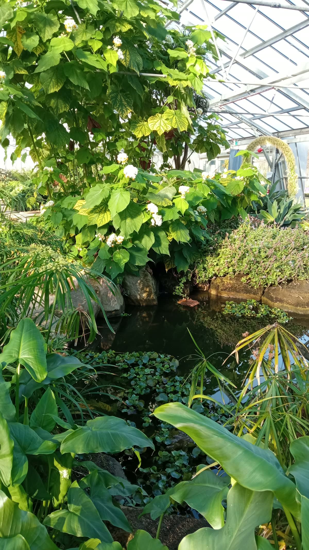 The Winter Garden in Saughton Park