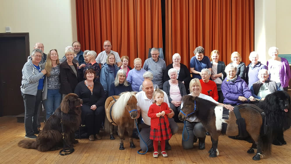 A large community group gathered in a hall with two Shetland ponies and dogs