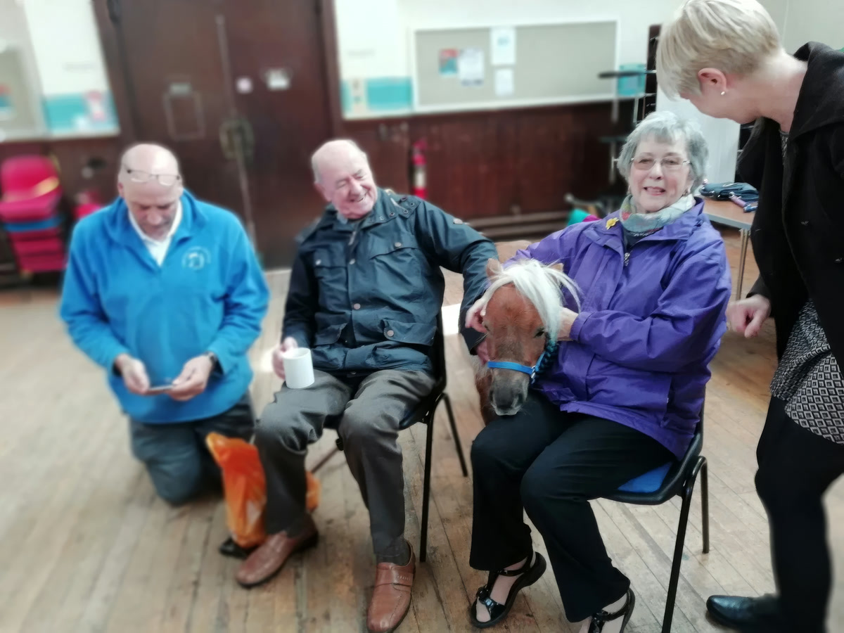 Vibrant Years Club members smiling as they meet a Shetland pony at a club session